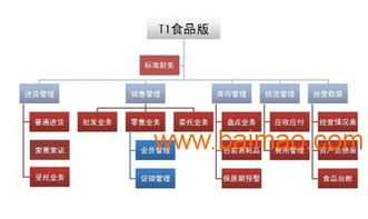 中山管家婆食品门店零售系统管理软件 智能化管理解决方案，提升门店运营效率